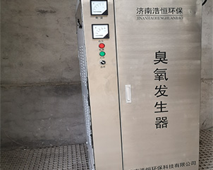 小型臭氧发生器-17