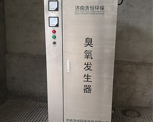 小型臭氧发生器-21